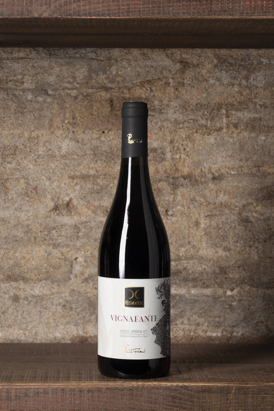 VIGNAFANTE ROSSO - UMBRIA IGT