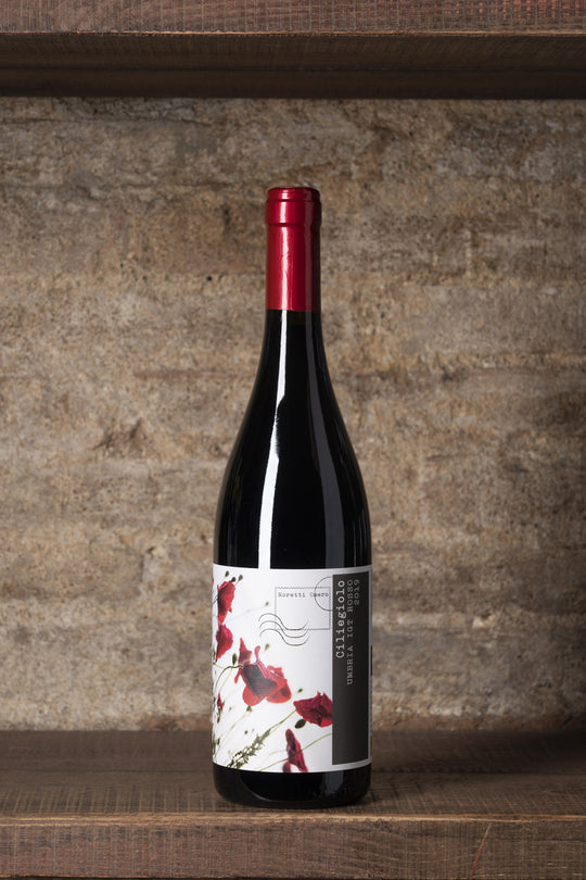 CILIEGIOLO - UMBRIA SANGIOVESE IGT BIO